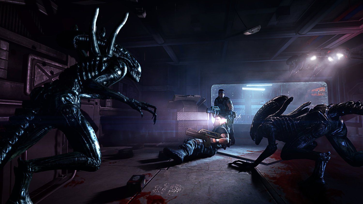 Aliens: Colonial Marines LIMITED EDITION Steam - Click Image to Close